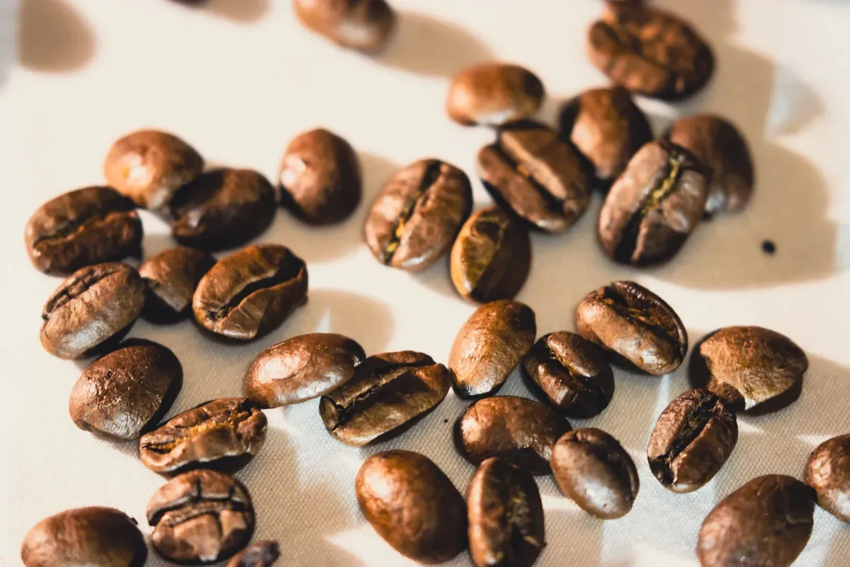 Roasted coffee beans scattered on a white surface